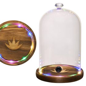 Smoking Gun Accessory LED lights Glass Dome 9x5.7 inch Lid with Wooden Base Smoke infuser Cover Lid for Cocktail Smoker Dome for Cold Smoke Smoki